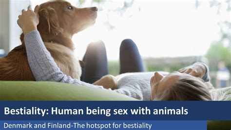 whats bestiality|BESTIALITY definition in American English 